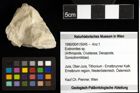 Foto (Objekt + Etiketten) von Eodromites sp. 
